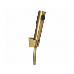 Aqua Brushed Gold Round Toilet Bidet